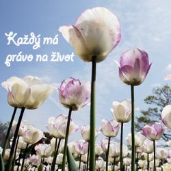 kažý má právo na život.jpg -