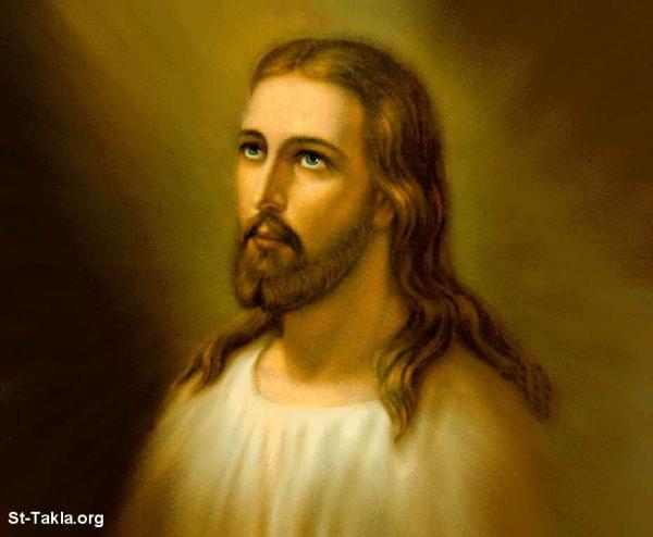 NASLEDOVANIE KRISTA III 58