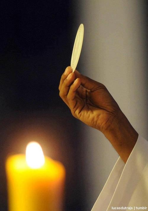 NASLEDOVANIE KRISTA IV 3