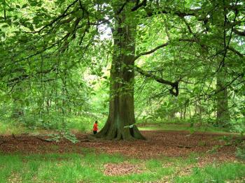 Nech sú bezúhonní a bohabojní a požehnaní
