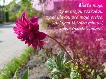 Je na mňa žiarlivý