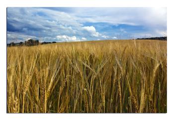 Božie požehnanie, alebo milosť Božia