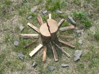 Vďačný utorok: Strom zasadený pri vode.