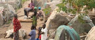 “This is horror. This is terror” – more devastating attacks in Nigeria