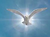 Čo chceš ty, Ježiš?