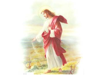 Skôr, než ráno vykročíme 2407