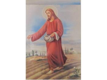 Ranné lúče svetla 3007