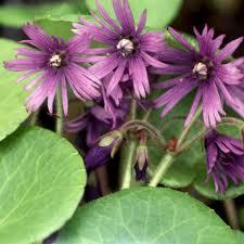 Bohu nie je nič nemožné