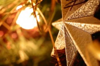 Ráno najvzácnejšieho pokladu 2412