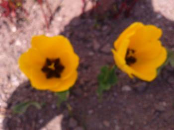 O ďalšej skvelej knihe