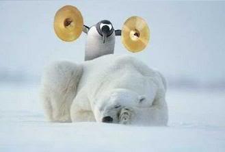 Dobré ráno, vstávať!